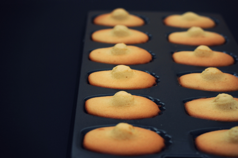 brussels-kitchen-madeleines-fleur-oranger-recette02