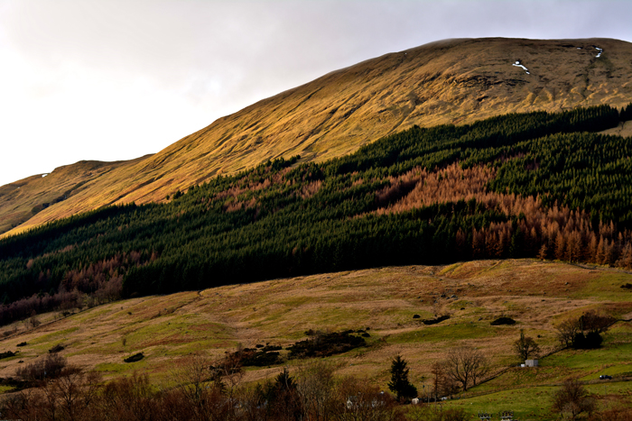 ecosse-zazie-maquet-tadam-studio-mhor-84-scotland-hills-bed-and-breakfast-motel04